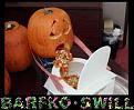 Click image for larger version

Name:	barfingpumpkin2.jpg
Views:	97
Size:	10.5 KB
ID:	9068548