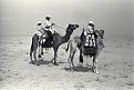 Click image for larger version

Name:	camelriders.jpg
Views:	201
Size:	49.7 KB
ID:	9068640