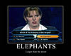 Click image for larger version

Name:	elephants.jpg
Views:	155
Size:	49.8 KB
ID:	9069145