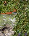 Click image for larger version

Name:	dirk.jpg
Views:	242
Size:	107.3 KB
ID:	9069201