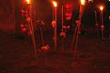Click image for larger version

Name:	halloween 099.jpg
Views:	189
Size:	144.6 KB
ID:	9069569