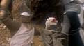 Click image for larger version

Name:	300px-rabbitattack.jpg
Views:	125
Size:	8.2 KB
ID:	9069807