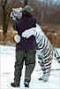 Click image for larger version

Name:	tigerhug.jpg
Views:	407
Size:	46.9 KB
ID:	9069828