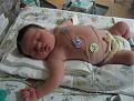 Click image for larger version

Name:	picture 043.jpg
Views:	165
Size:	88.9 KB
ID:	9070479