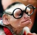 Click image for larger version

Name:	monkey_nerd_with_glasses.jpg
Views:	140
Size:	19.2 KB
ID:	9071200