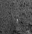 Click image for larger version

Name:	230202main_9227-phx_lander.jpg
Views:	167
Size:	198.9 KB
ID:	9071649