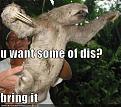 Click image for larger version

Name:	funny-pictures-angry-sloth.jpg
Views:	268
Size:	40.3 KB
ID:	9071701