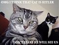 Click image for larger version

Name:	cat.jpg
Views:	191
Size:	61.2 KB
ID:	9075529