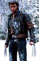 Click image for larger version

Name:	x-men1_wolverine.jpg
Views:	243
Size:	50.4 KB
ID:	9075573