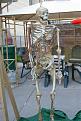 Click image for larger version

Name:	imgp1440.jpg
Views:	108
Size:	194.2 KB
ID:	9075708