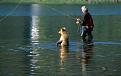 Click image for larger version

Name:	fisherman's helper.jpg
Views:	423
Size:	23.9 KB
ID:	9076203