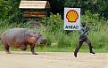 Click image for larger version

Name:	run.jpg
Views:	347
Size:	46.5 KB
ID:	9076371