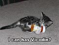 Click image for larger version

Name:	vicodina.jpg
Views:	132
Size:	88.4 KB
ID:	9076488