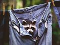 Click image for larger version

Name:	coon_jeans.jpg
Views:	347
Size:	154.9 KB
ID:	9076525