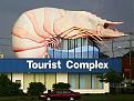 Click image for larger version

Name:	big prawn-ballina.jpg
Views:	213
Size:	27.2 KB
ID:	9076772