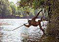 Click image for larger version

Name:	orangutan_fishing.jpg
Views:	173
Size:	59.2 KB
ID:	9077096