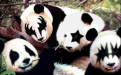 Click image for larger version

Name:	pandakiss.png
Views:	316
Size:	249.6 KB
ID:	9077112