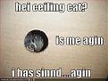 Click image for larger version

Name:	heiceilingcat128525205396098750.jpg
Views:	251
Size:	32.4 KB
ID:	9077781