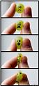 Click image for larger version

Name:	grape_death.jpg
Views:	341
Size:	56.0 KB
ID:	9078002
