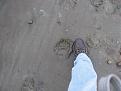 Click image for larger version

Name:	bear track.jpg
Views:	310
Size:	62.5 KB
ID:	9078331