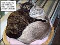 Click image for larger version

Name:	soba-hugs-roy-again.jpg
Views:	157
Size:	36.8 KB
ID:	9078402