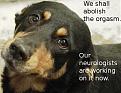 Click image for larger version

Name:	uhoh.jpg
Views:	124
Size:	47.3 KB
ID:	9078694