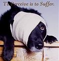 Click image for larger version

Name:	perception.jpg
Views:	103
Size:	41.0 KB
ID:	9078695