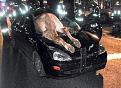 Click image for larger version

Name:	Horse in windshield.jpg
Views:	297
Size:	33.6 KB
ID:	9079273