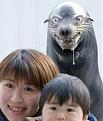 Click image for larger version

Name:	wtf leucrotta.jpg
Views:	351
Size:	75.6 KB
ID:	9079275