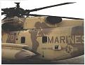 Click image for larger version

Name:	ch53camo1.jpg
Views:	425
Size:	28.5 KB
ID:	9079303