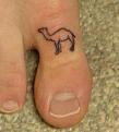 Click image for larger version

Name:	cameltoe[1].jpg
Views:	171
Size:	18.1 KB
ID:	9079465