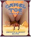 Click image for larger version

Name:	camel-toe-cigerettes.jpg
Views:	173
Size:	92.8 KB
ID:	9079466