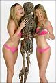 Click image for larger version

Name:	girls-and-corpses05.jpg
Views:	283
Size:	31.2 KB
ID:	9079533