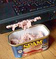 Click image for larger version

Name:	spam in laptop.jpg
Views:	80
Size:	58.6 KB
ID:	9079584