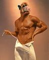 Click image for larger version

Name:	Alf.jpg
Views:	150
Size:	39.4 KB
ID:	9079727