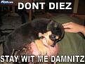 Click image for larger version

Name:	dontdiez.jpg
Views:	176
Size:	77.2 KB
ID:	9083621