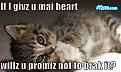 Click image for larger version

Name:	pyzamheartbreak.jpg
Views:	178
Size:	43.5 KB
ID:	9083638