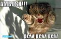 Click image for larger version

Name:	pyzampewpewpew.jpg
Views:	175
Size:	24.0 KB
ID:	9083639