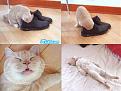Click image for larger version

Name:	pyzamstinkyfeet.jpg
Views:	185
Size:	27.5 KB
ID:	9083640
