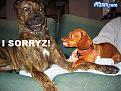 Click image for larger version

Name:	relax.jpg
Views:	176
Size:	74.2 KB
ID:	9083642