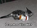 Click image for larger version

Name:	vicodina.jpg
Views:	237
Size:	88.4 KB
ID:	9083976
