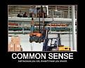 Click image for larger version

Name:	common%20sense.jpg
Views:	319
Size:	71.4 KB
ID:	9084170