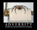 Click image for larger version

Name:	adversity%2001.jpg
Views:	328
Size:	79.5 KB
ID:	9084173