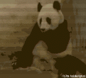 Click image for larger version

Name:	tn.gif
Views:	288
Size:	224.7 KB
ID:	9084181