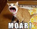 Click image for larger version

Name:	CatShoutMOAR.jpg
Views:	463
Size:	319.7 KB
ID:	9084352
