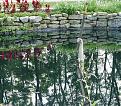 Click image for larger version

Name:	lady_of_the_lake.jpg
Views:	347
Size:	120.0 KB
ID:	9084409