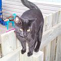 Click image for larger version

Name:	Zeb.jpg
Views:	97
Size:	79.1 KB
ID:	9085174