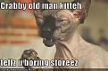 Click image for larger version

Name:	old-man-cat.jpg
Views:	109
Size:	28.5 KB
ID:	9085519