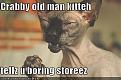 Click image for larger version

Name:	old-man-cat.jpg
Views:	100
Size:	28.5 KB
ID:	9085519