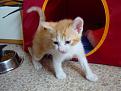 Click image for larger version

Name:	DSC00928.jpg
Views:	128
Size:	56.5 KB
ID:	9085580